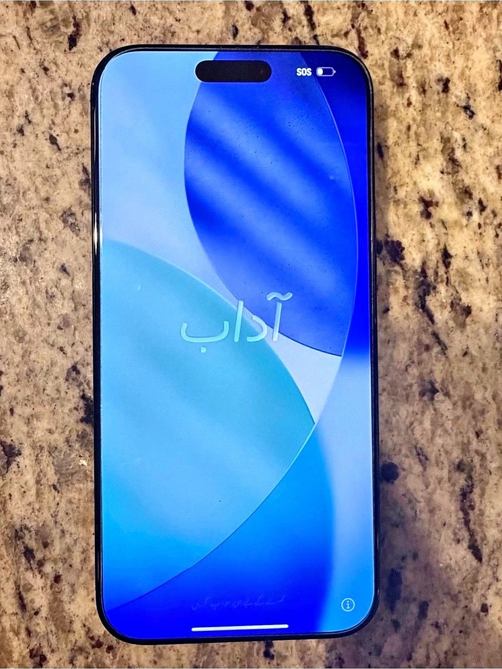 Apple iPhone 15 Pro Max 256GB Black Unlocked